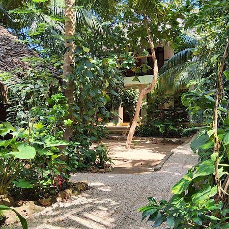 Atii Garden Bungalows Nungwi Luaran gambar