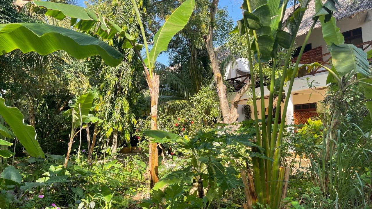 Atii Garden Bungalows Nungwi Luaran gambar