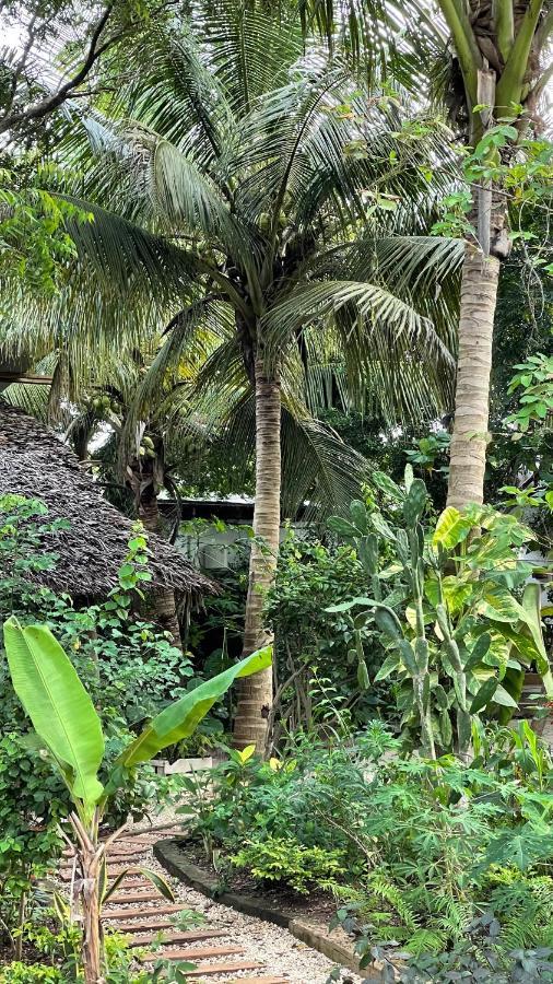 Atii Garden Bungalows Nungwi Luaran gambar