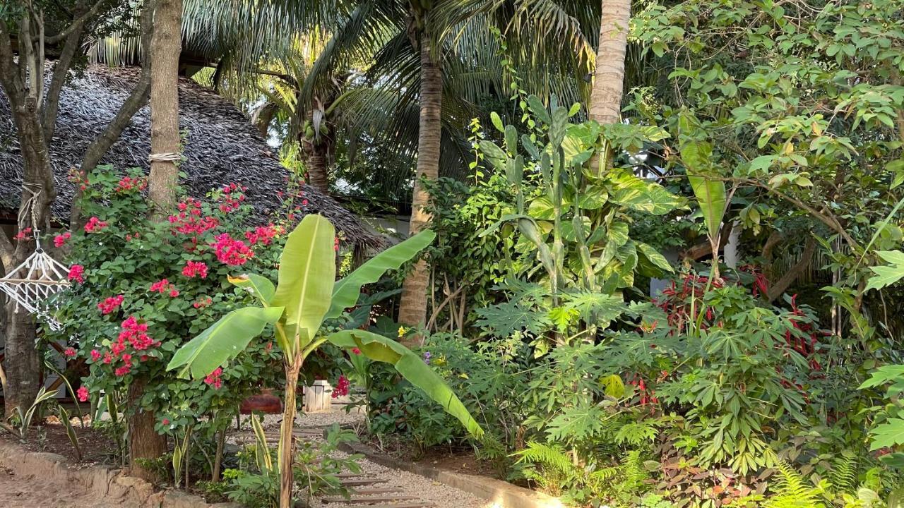 Atii Garden Bungalows Nungwi Luaran gambar