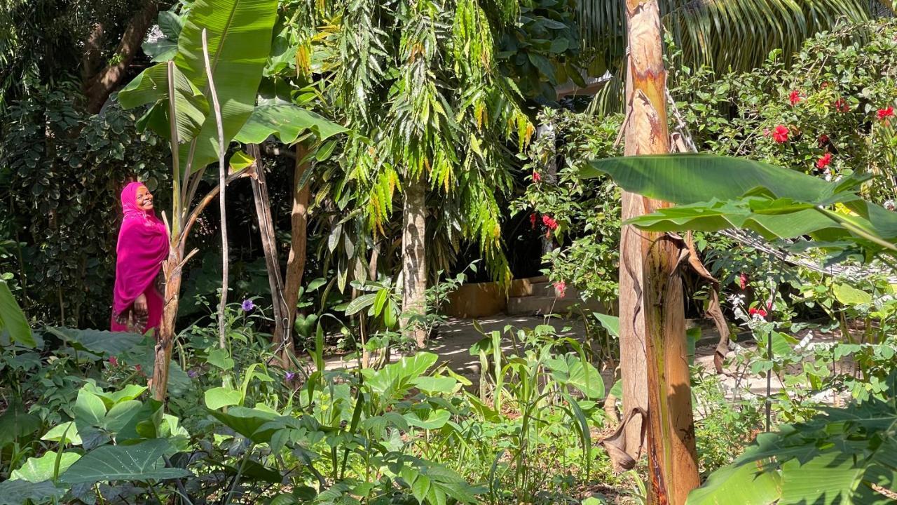 Atii Garden Bungalows Nungwi Luaran gambar