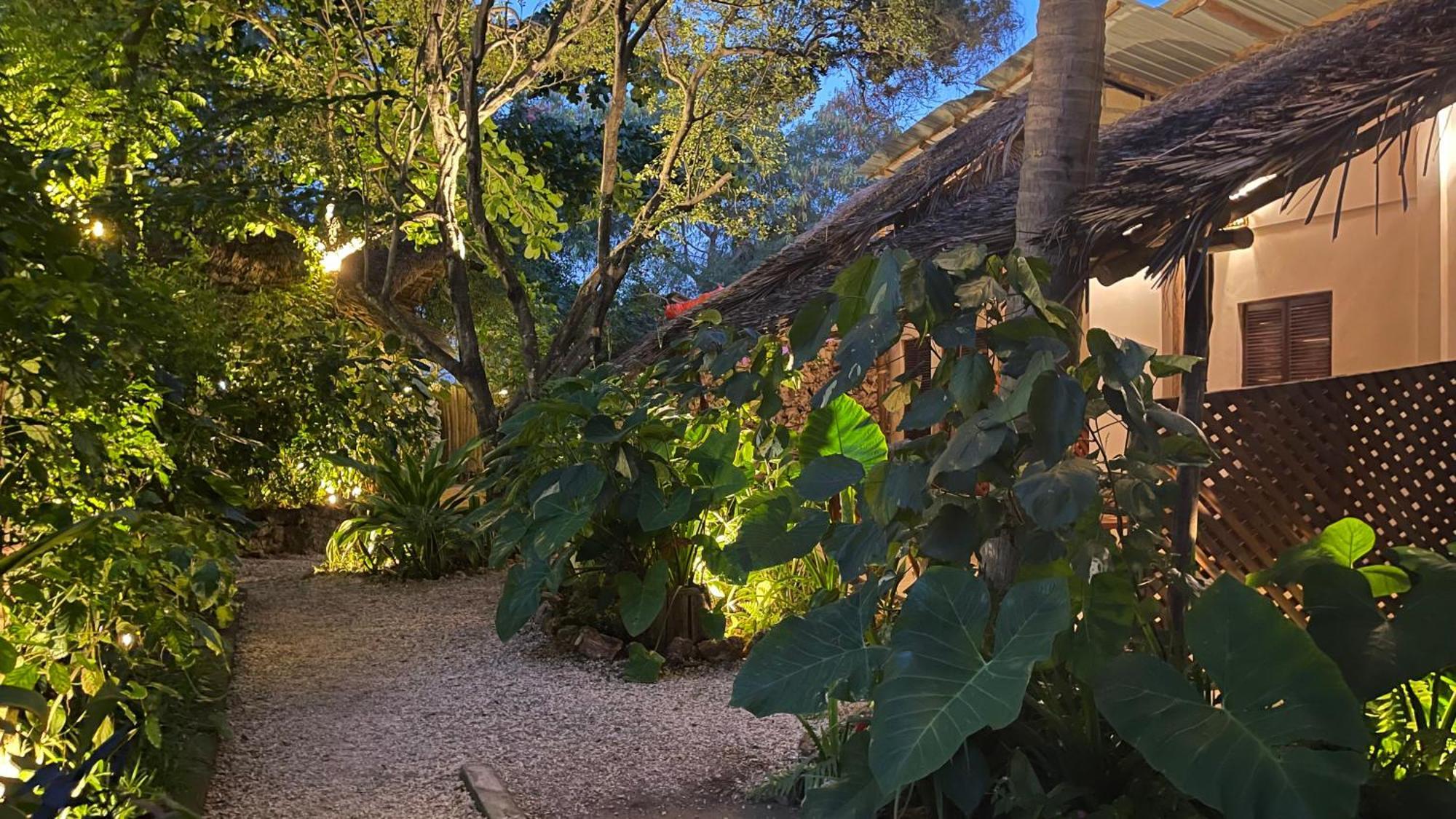 Atii Garden Bungalows Nungwi Luaran gambar