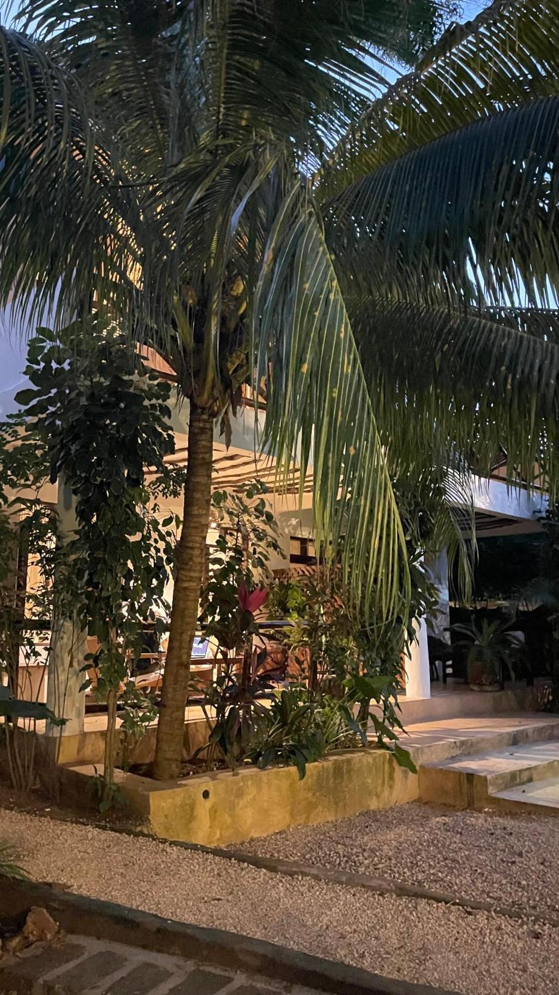Atii Garden Bungalows Nungwi Luaran gambar