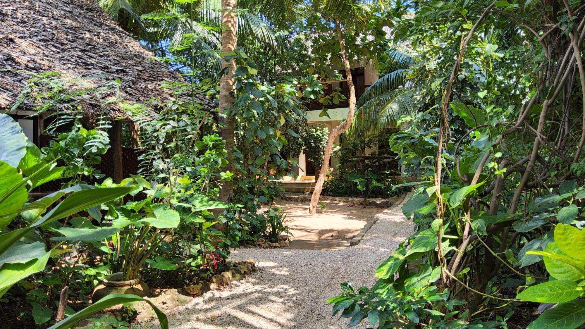 Atii Garden Bungalows Nungwi Luaran gambar